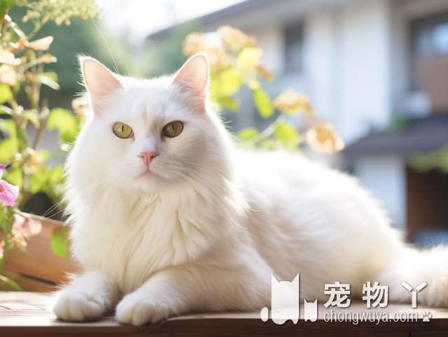 猫咪根本就不是高冷的宠物 猫咪遇到小宝宝之后 简直太温暖了！